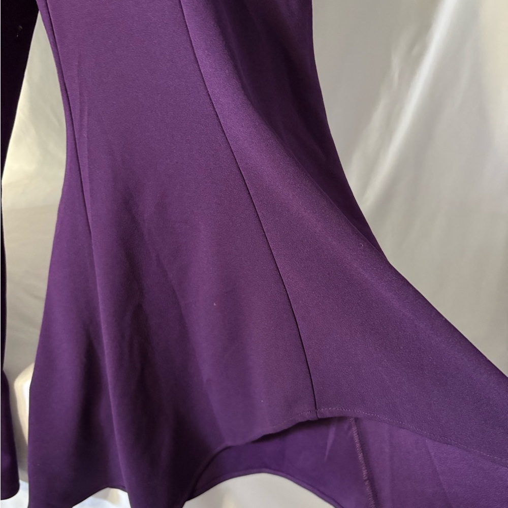 Elegant Purple Sleeveless Dressy jumpsuit with Silver Accents - Picture 3 of 9